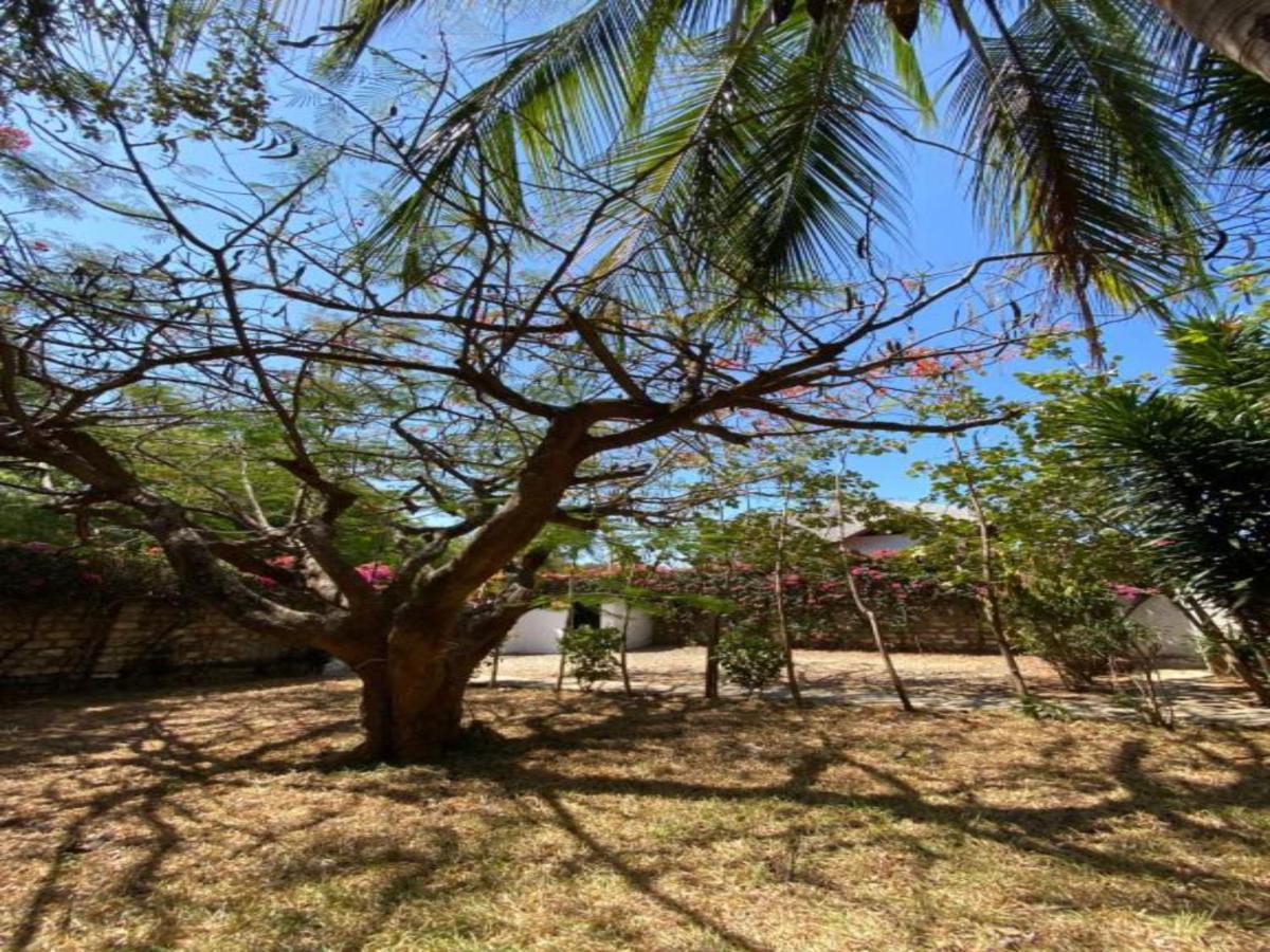 Silver Rock Hotel & Beachfront Apartments Malindi Exterior photo